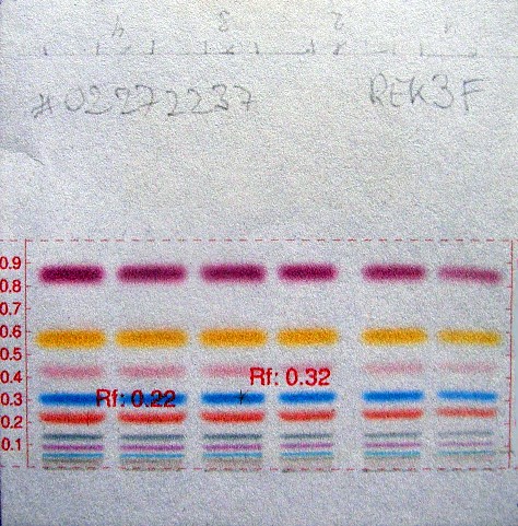 1-6-cal.plate