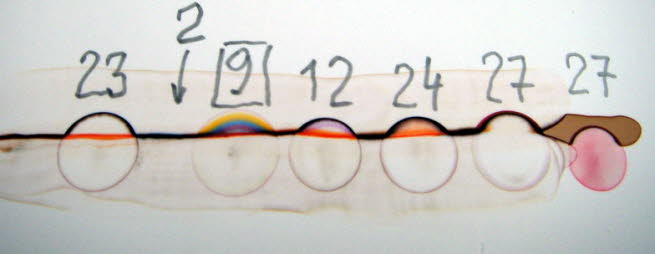 29micro phase selection