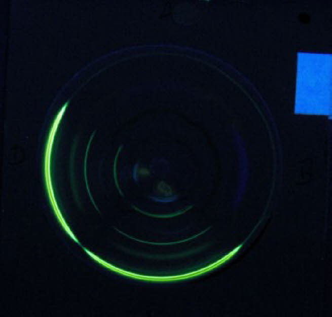 42fluorescence detection