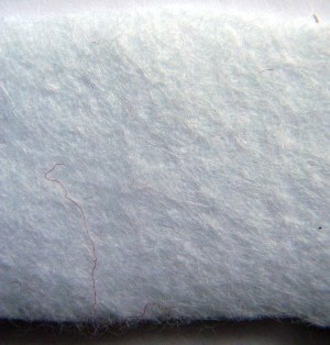 ms-cottonfabric